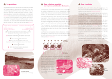 Brochure sur les frayères artificielles Plaquette de présentation du projet d'implantation de frayères artificielles flottantes sur les Lacs de l'Eau d'Heure