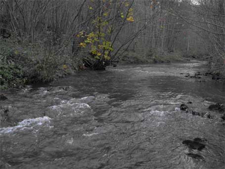 Etude Qualphy sur le Bocq Etude Qualphy sur le Bocq