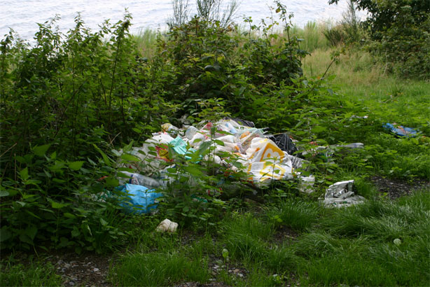 Berges du Lac de l'Eau d'Heure Pollution aux abords des Lacs de l'Eau d'Heure