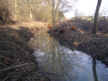 Nettoyage du ru Nettoyage du ru