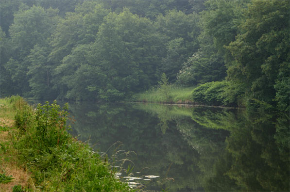 La Haute Sambre Photo de la Sambre © Maison wallonne de la pêche